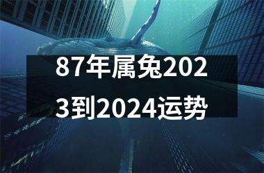 87年属兔2023到2024运势