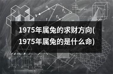 1975年属兔的求财方向(1975年属兔的是什么命)