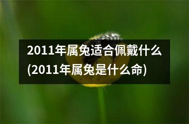 2011年属兔适合佩戴什么(2011年属兔是什么命)