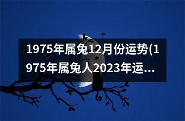 1975年属兔12月份运势(1975年属兔人2023年运势及运程)