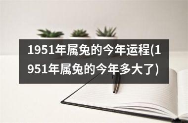 1951年属兔的今年运程(1951年属兔的今年多大了)