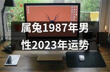 属兔1987年男性2023年运势