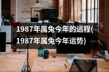 1987年属兔今年的运程(1987年属兔今年运势)