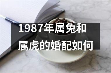 1987年属兔和属虎的婚配如何