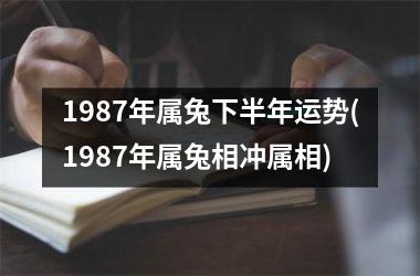 1987年属兔下半年运势(1987年属兔相冲属相)