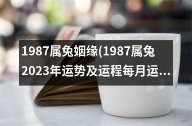 1987属兔姻缘(1987属兔2025年运势及运程每月运程)