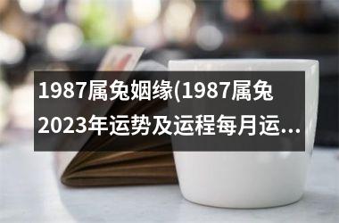 1987属兔姻缘(1987属兔2023年运势及运程每月运程)