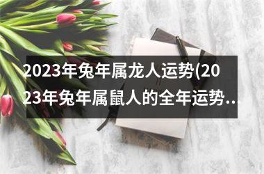 2025年兔年属龙人运势(2025年兔年属鼠人的全年运势)