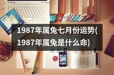 1987年属兔七月份运势(1987年属兔是什么命)