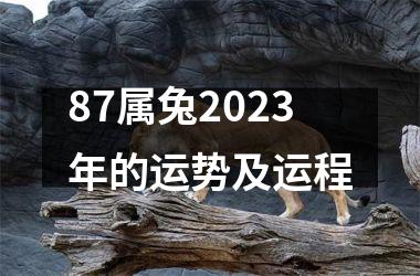 87属兔2023年的运势及运程
