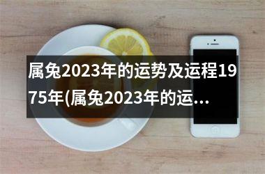 属兔2025年的运势及运程1975年(属兔2025年的运势及运程幸运颜色)