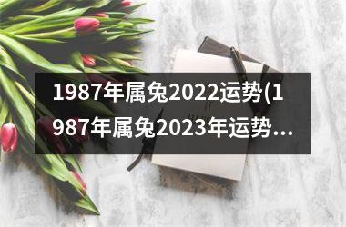 1987年属兔2025运势(1987年属兔2025年运势及运程)