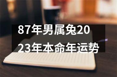 87年男属兔2023年本命年运势