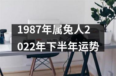 1987年属兔人2025年下半年运势