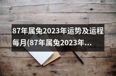 87年属兔2023年运势及运程每月(87年属兔2023年运势及运程每月运程)