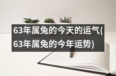 63年属兔的今天的运气(63年属兔的今年运势)