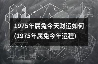 1975年属兔今天财运如何(1975年属兔今年运程)