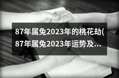 87年属兔2025年的桃花劫(87年属兔2025年运势及运程)
