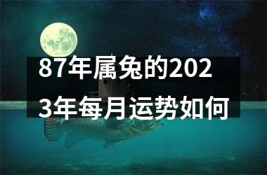 87年属兔的2023年每月运势如何