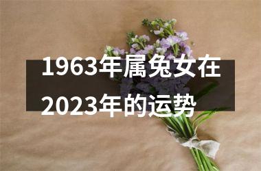 1963年属兔女在2023年的运势