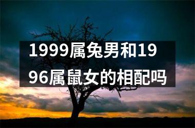 1999属兔男和1996属鼠女的相配吗