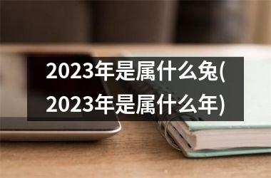 2023年是属什么兔(2023年是属什么年)