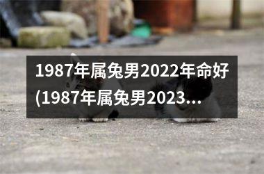 <h3>1987年属兔男2025年命好(1987年属兔男2025年的运势和婚姻)