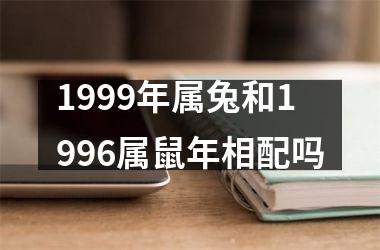 1999年属兔和1996属鼠年相配吗