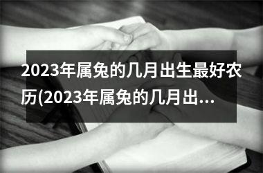 2023年属兔的几月出生最好农历(2023年属兔的几月出生最好命)