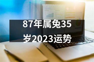 87年属兔35岁2023运势