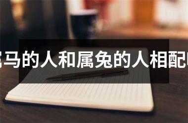 属马的人和属兔的人相配吗