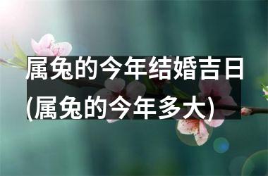 属兔的今年结婚吉日(属兔的今年多大)