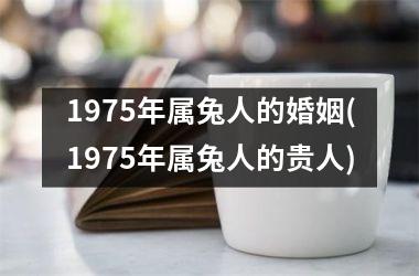 1975年属兔人的婚姻(1975年属兔人的贵人)