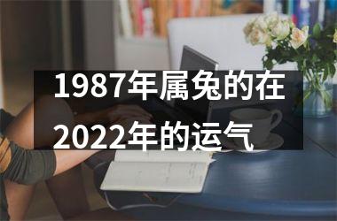 1987年属兔的在2022年的运气