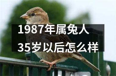 <h3>1987年属兔人35岁以后怎么样