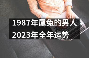 1987年属兔的男人2023年全年运势