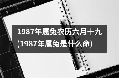 1987年属兔农历六月十九(1987年属兔是什么命)