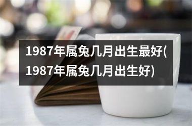 1987年属兔几月出生最好(1987年属兔几月出生好)