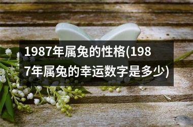 1987年属兔的性格(1987年属兔的幸运数字是多少)