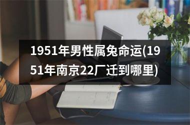 1951年男性属兔命运(1951年南京22厂迁到哪里)