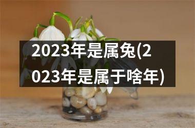 2023年是属兔(2023年是属于啥年)