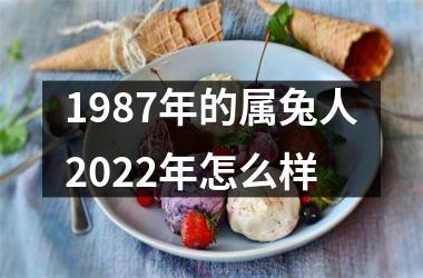 1987年的属兔人2022年怎么样