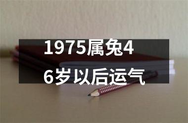 1975属兔46岁以后运气