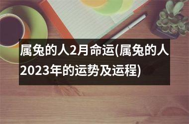 属兔的人2月命运(属兔的人2023年的运势及运程)