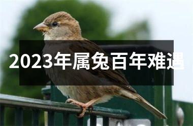 2023年属兔百年难遇