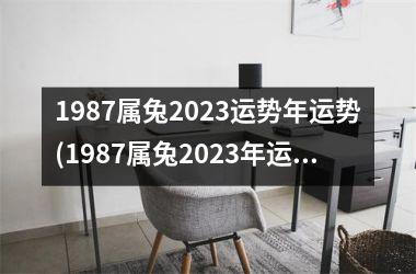 1987属兔2023运势年运势(1987属兔2023年运势及运程每月运程)