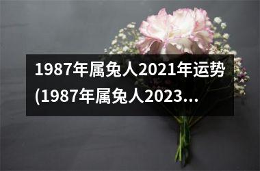 1987年属兔人2021年运势(1987年属兔人2023年全年运势)