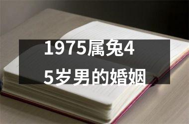 1975属兔45岁男的婚姻