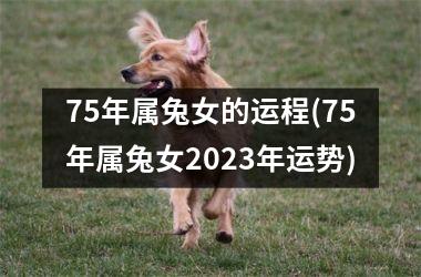75年属兔女的运程(75年属兔女2025年运势)