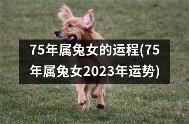 75年属兔女的运程(75年属兔女2023年运势)